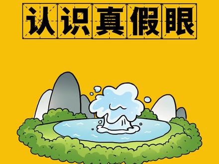 眼明心亮识真伪,手巧心慧创意多打一生肖，全面释义、科学解答解释落实