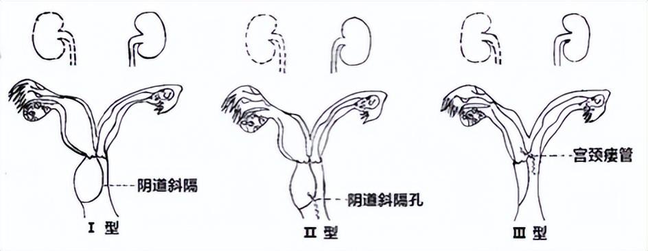 十全十美人生盼伤风败俗金莲到是什么生肖，详细解答、专家解答解释落实
